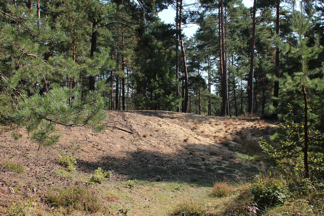 Ortsansicht von Abensberg