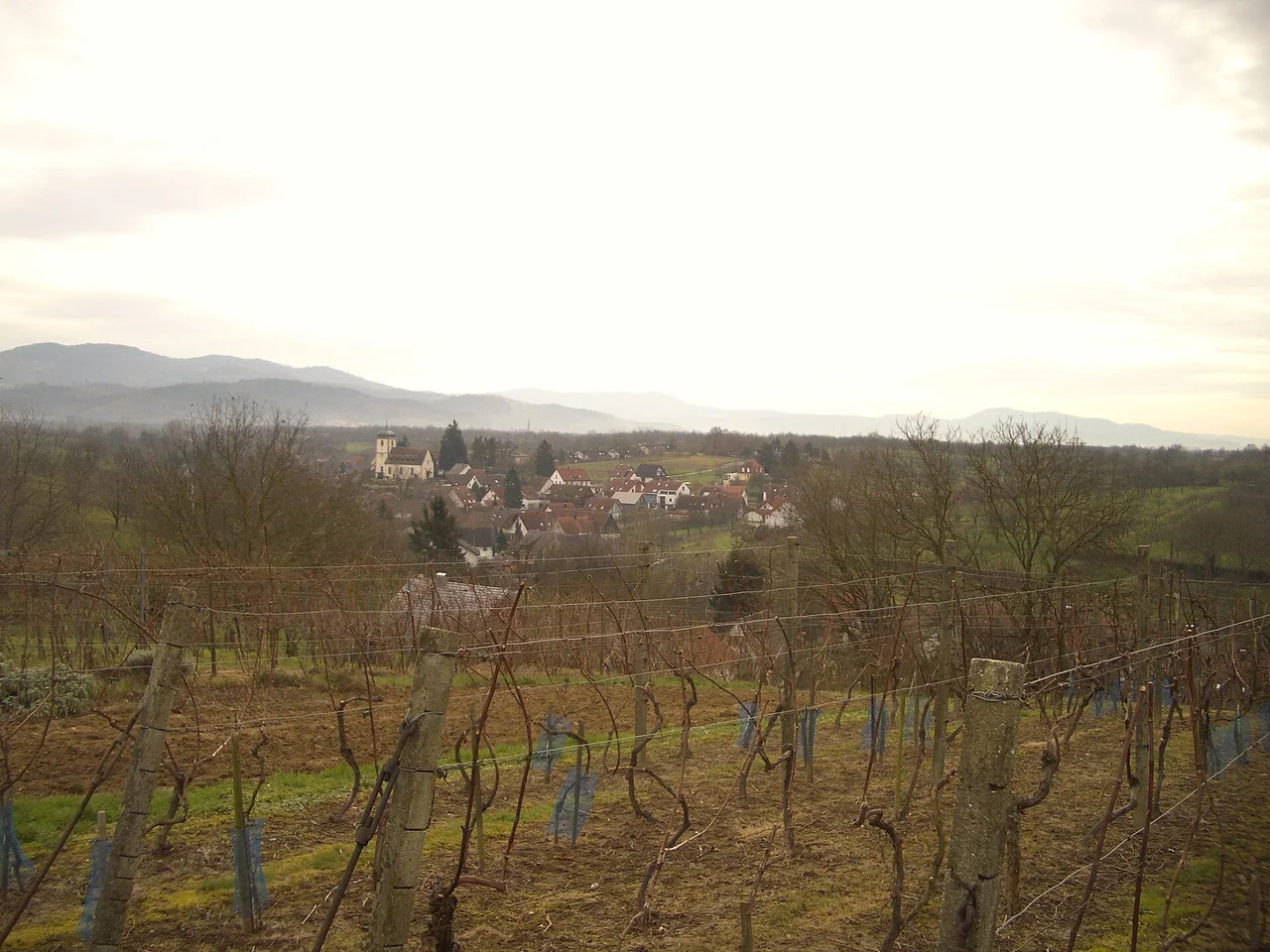 Ortsansicht von Achern