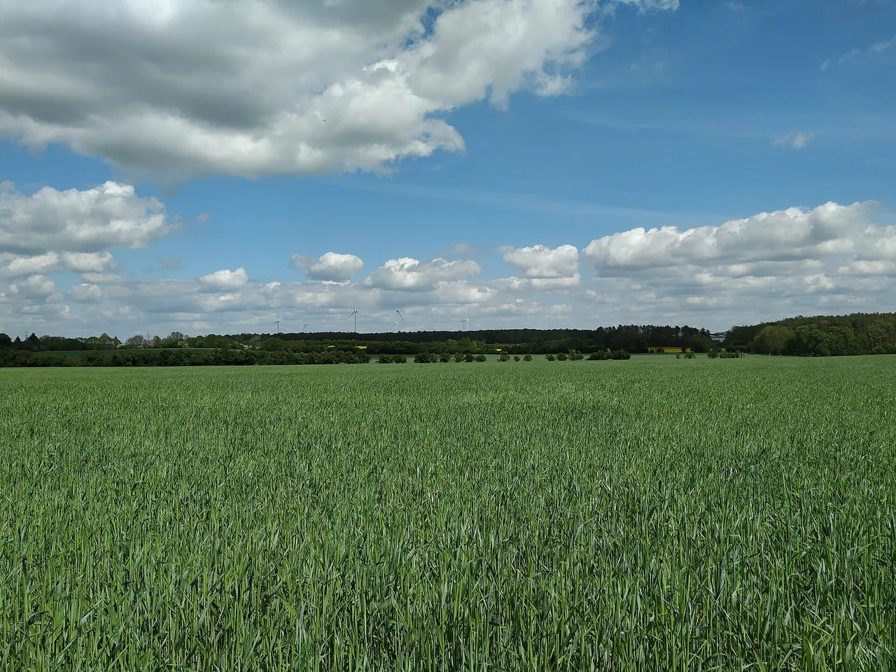 Ortsansicht von Ahrensfelde