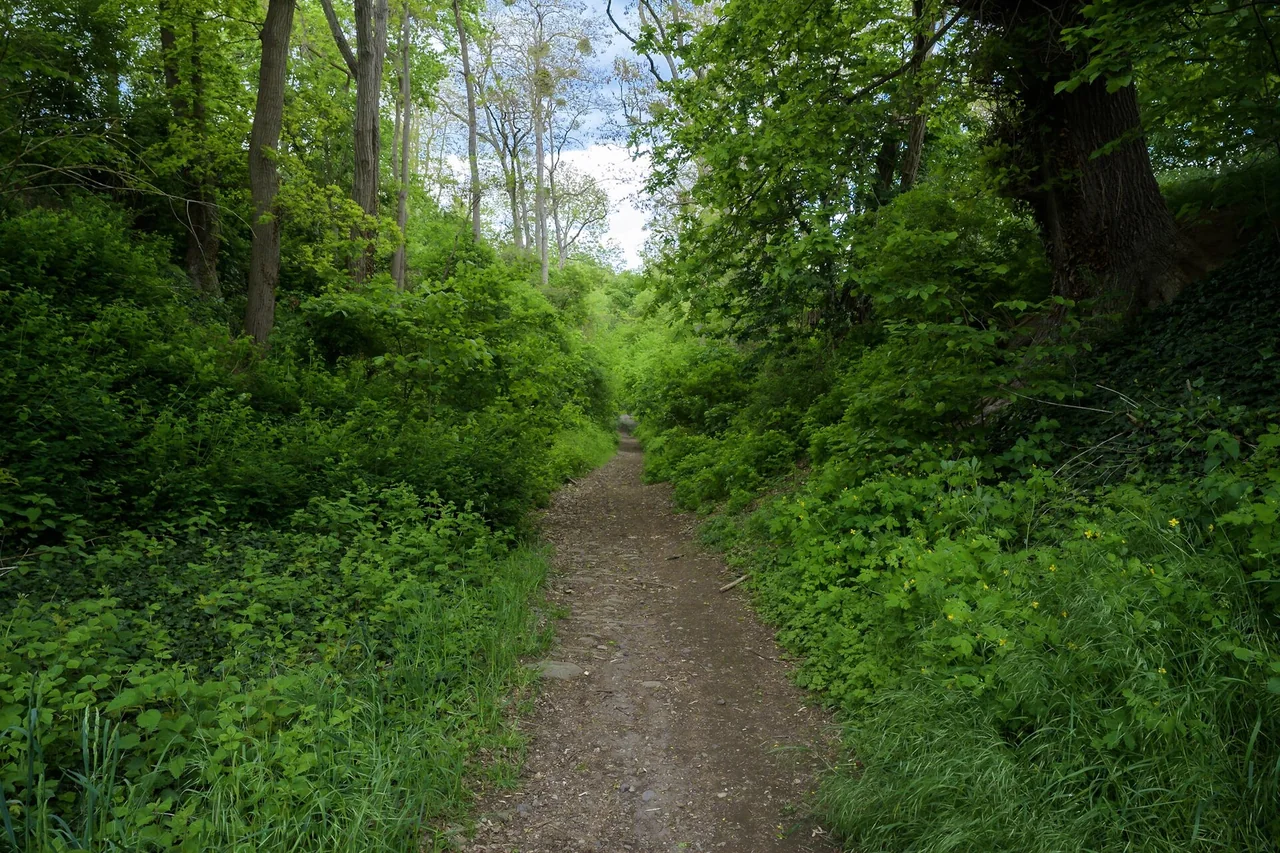 Ortsansicht von Andernach