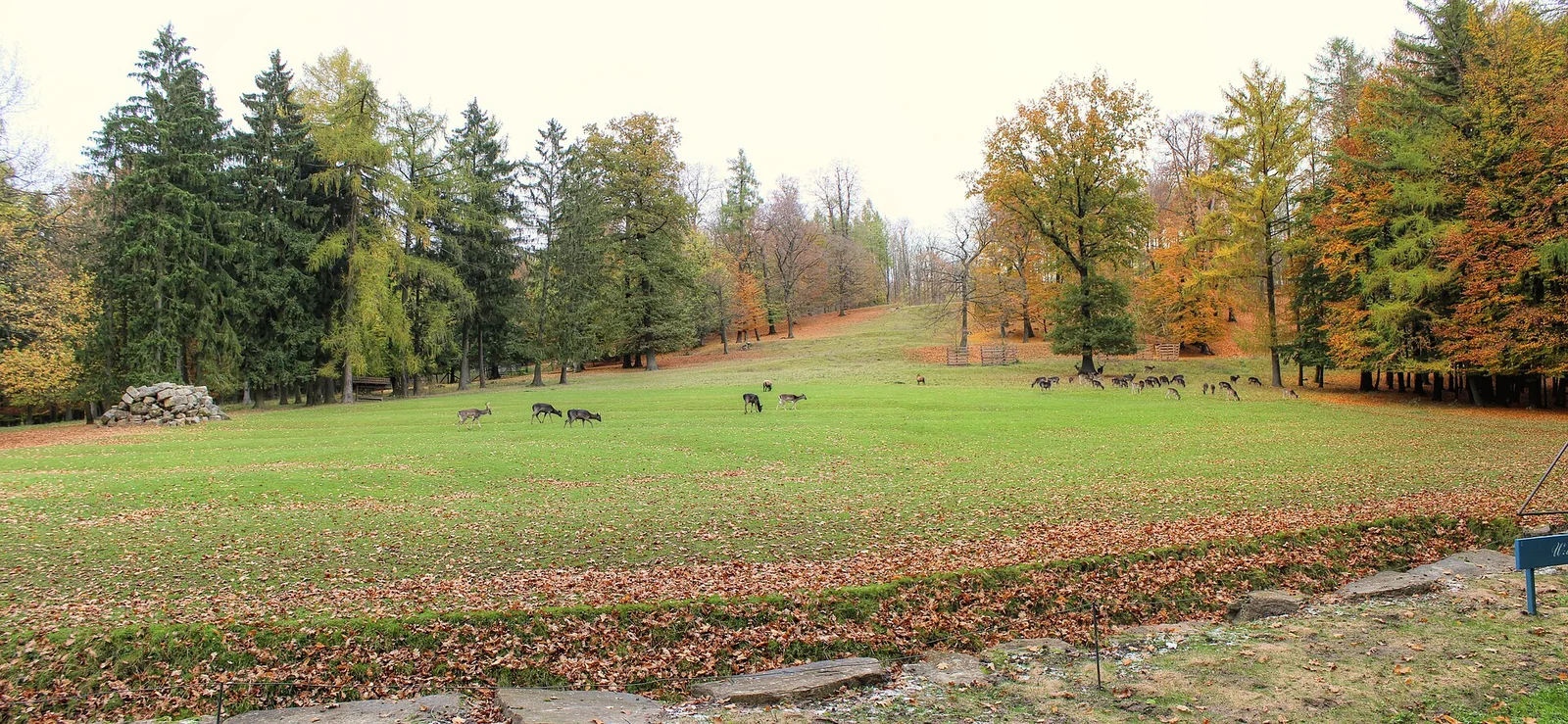 Gräflicher Park in Bad Driburg