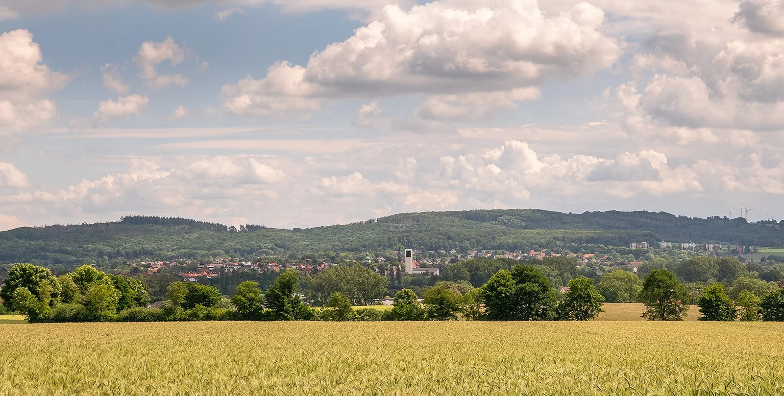 Blick auf die Innenstadt von Bad Salzuflen