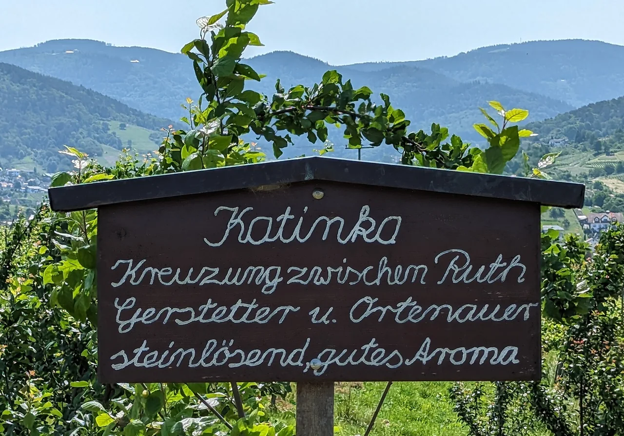Ortsansicht von Bühl