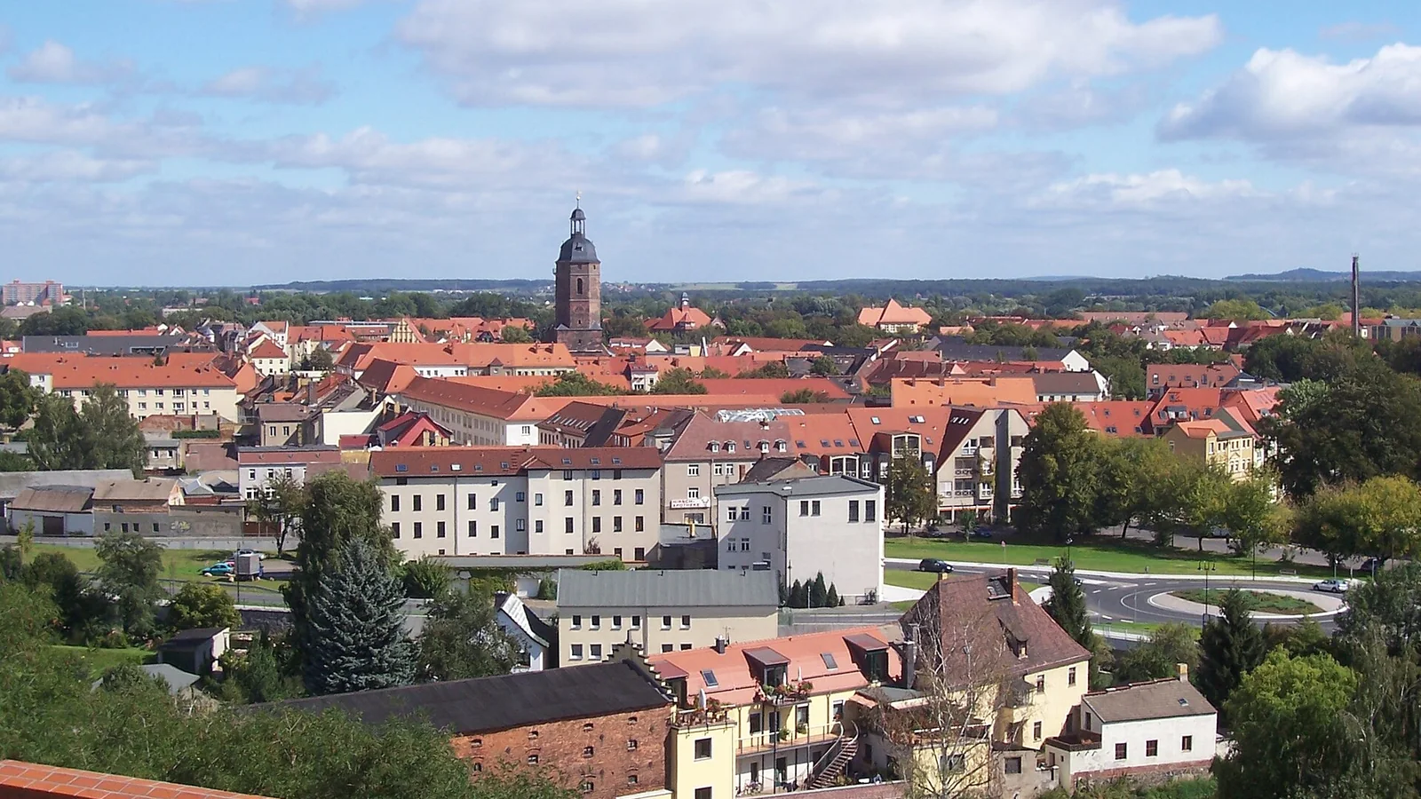 Stadtansicht von Eilenburg vom Burgberg
