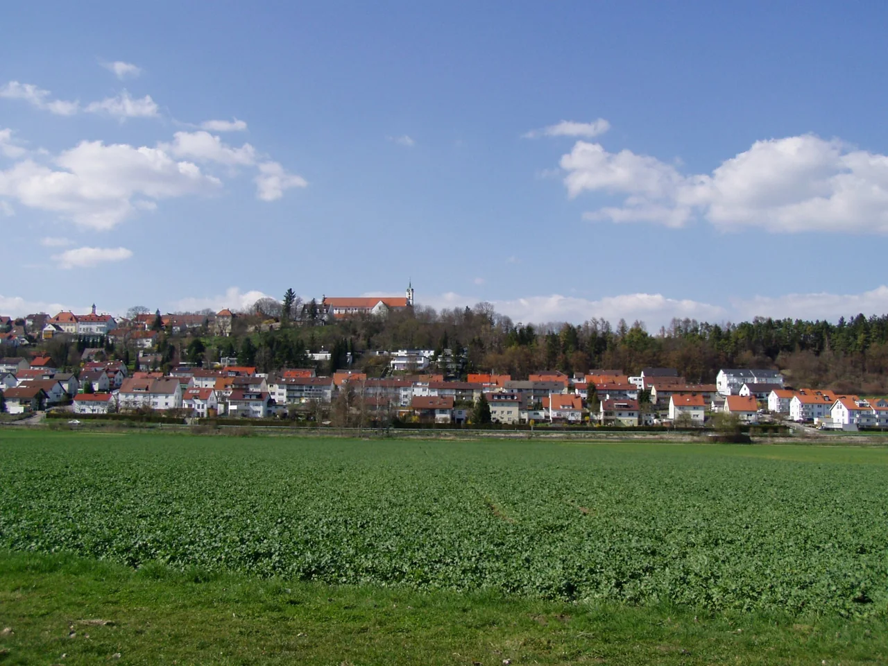 Ortsansicht von Elchingen