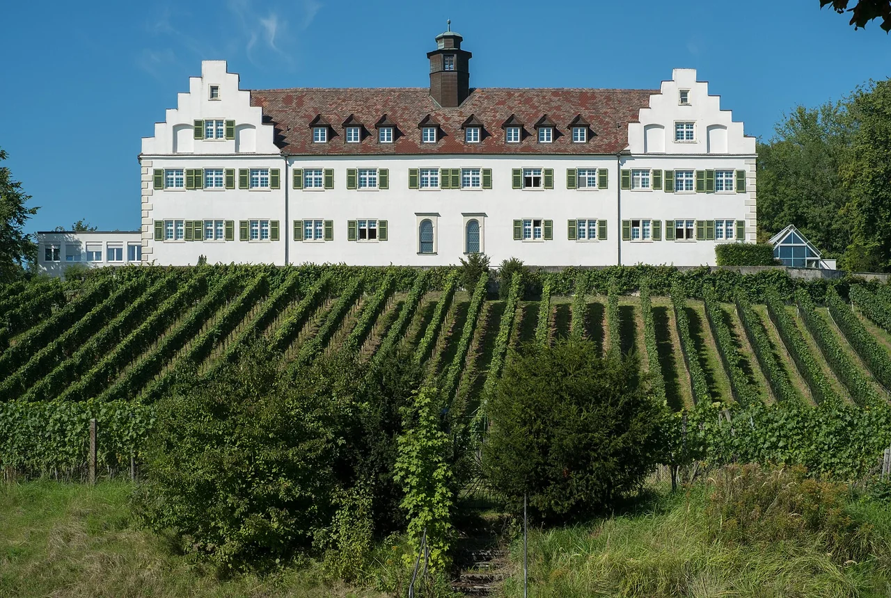 Ortsansicht von Immenstaad am Bodensee