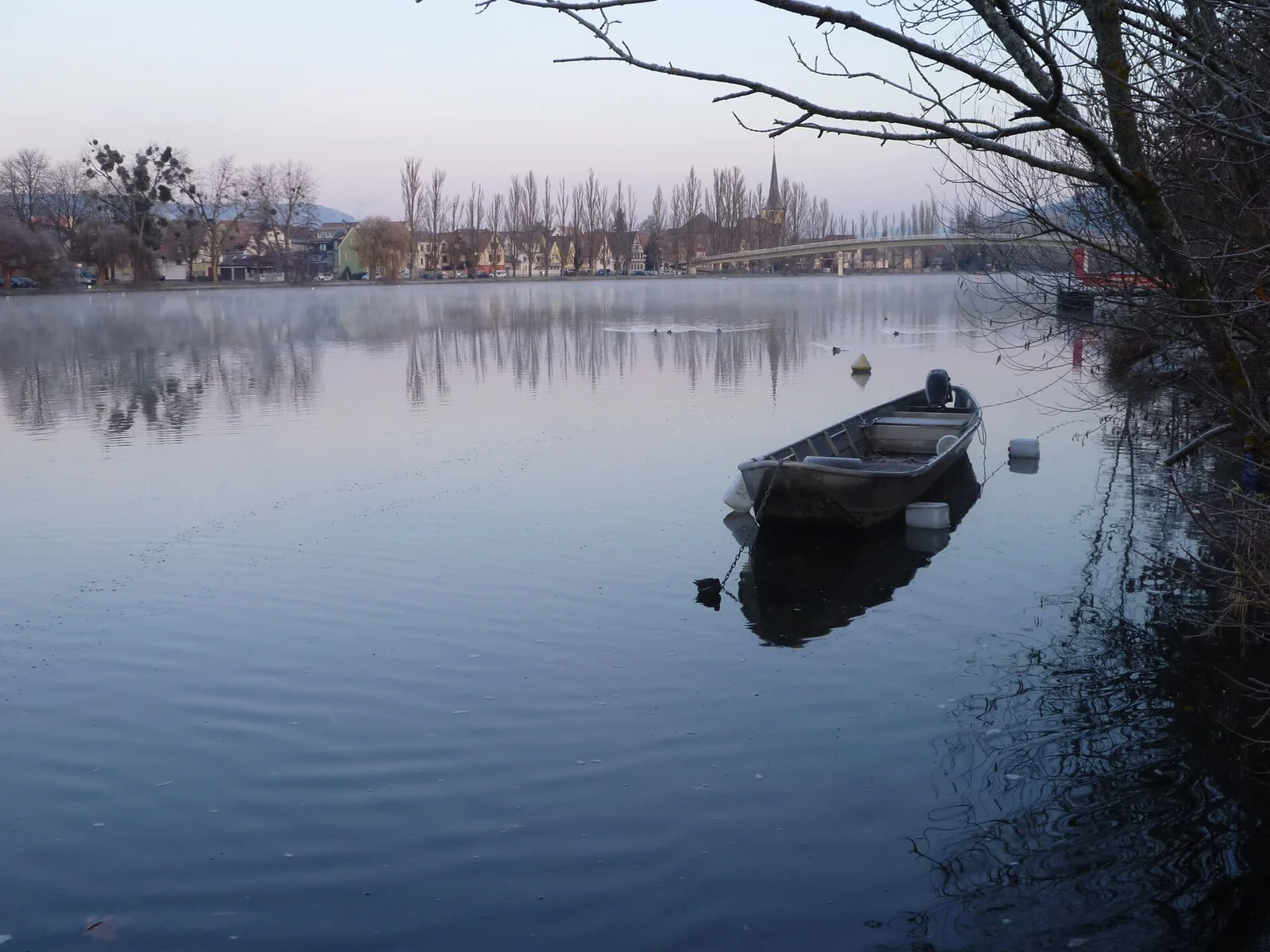 Blick über den Main auf Margetshöchheim