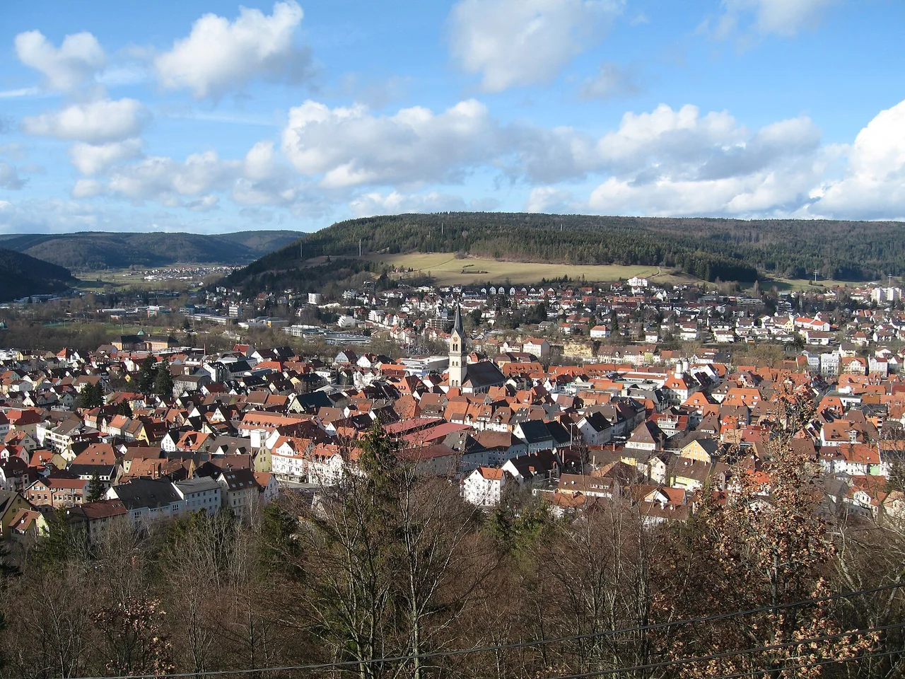 Ortsansicht von Tuttlingen