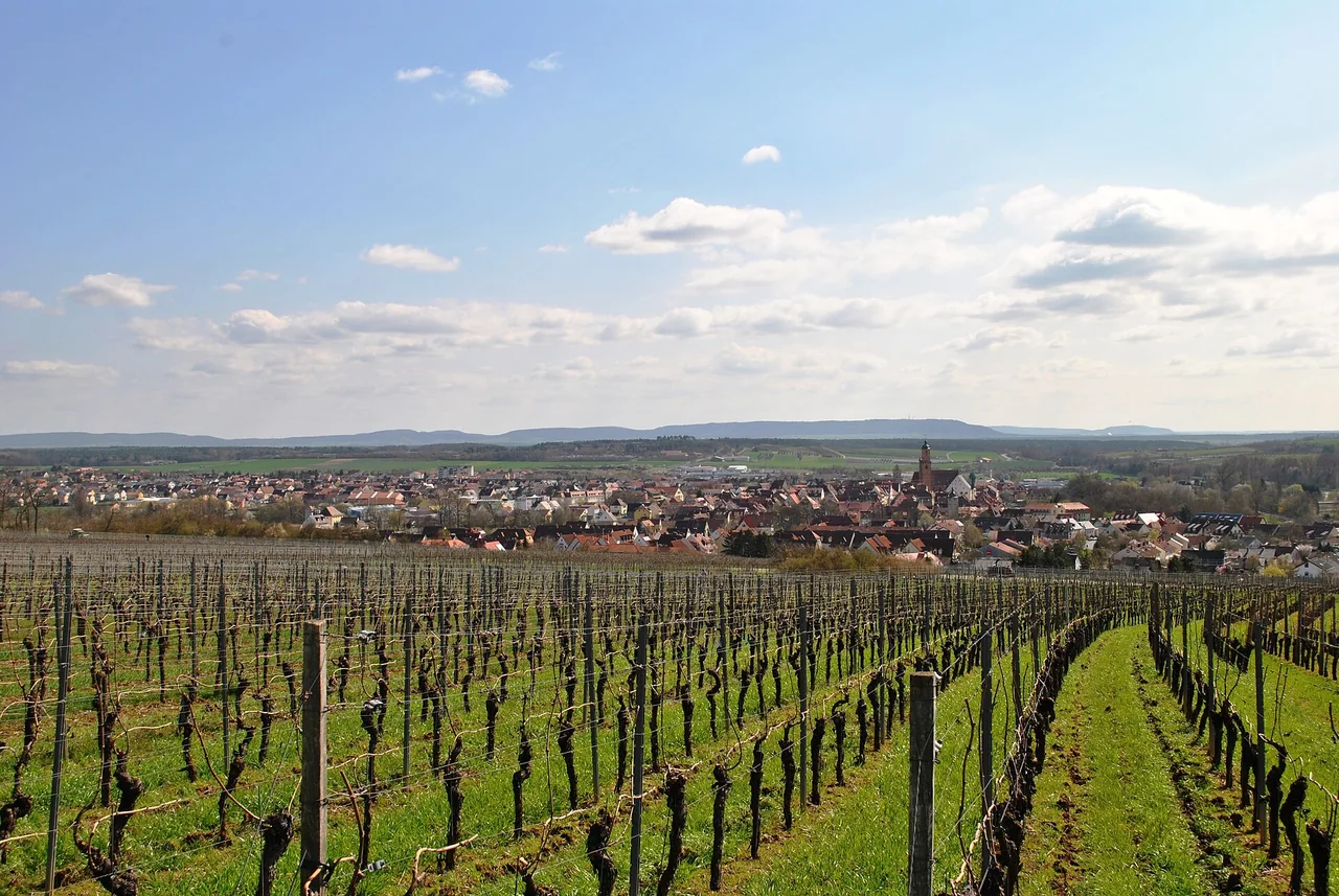 Ortsansicht von Volkach