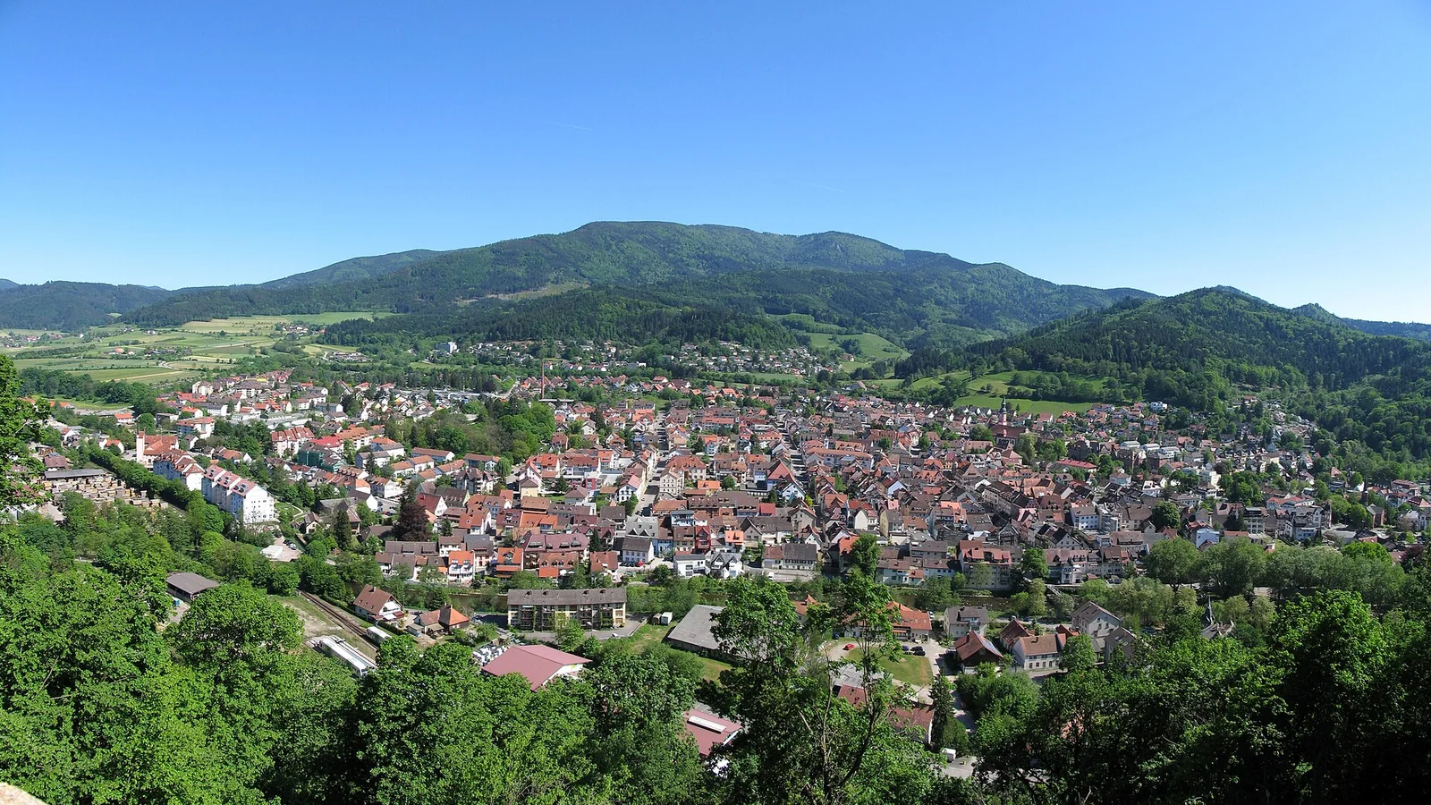 Panorama von Waldkirch im Schwarzwald