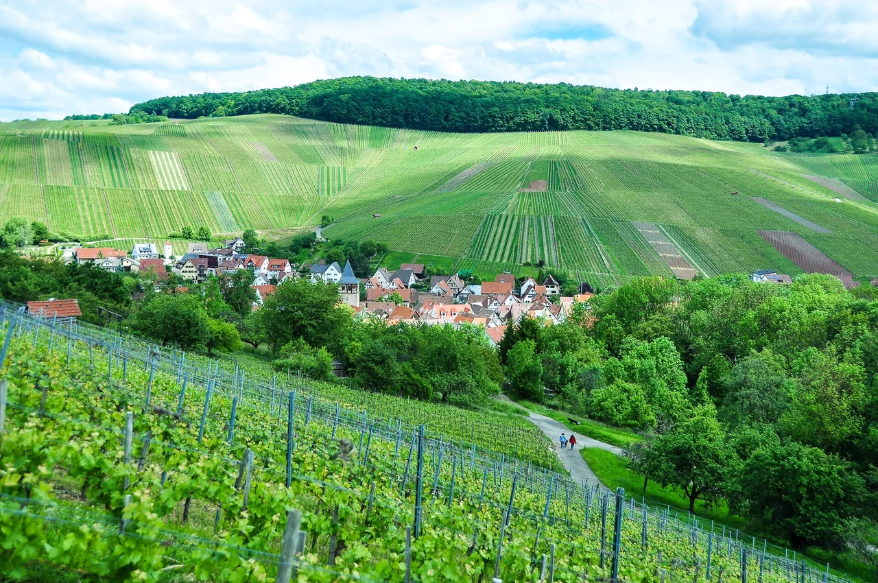 Ortsansicht von Weinstadt